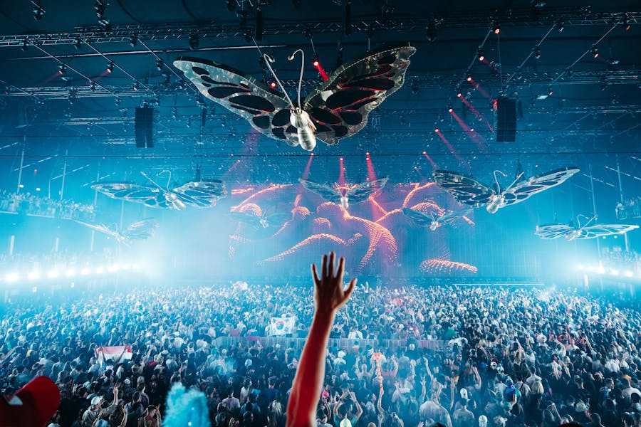 Freedom at Tomorrowland 2023