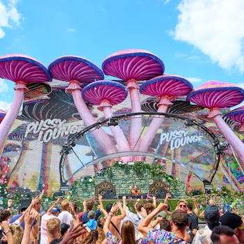 Youphoria stage