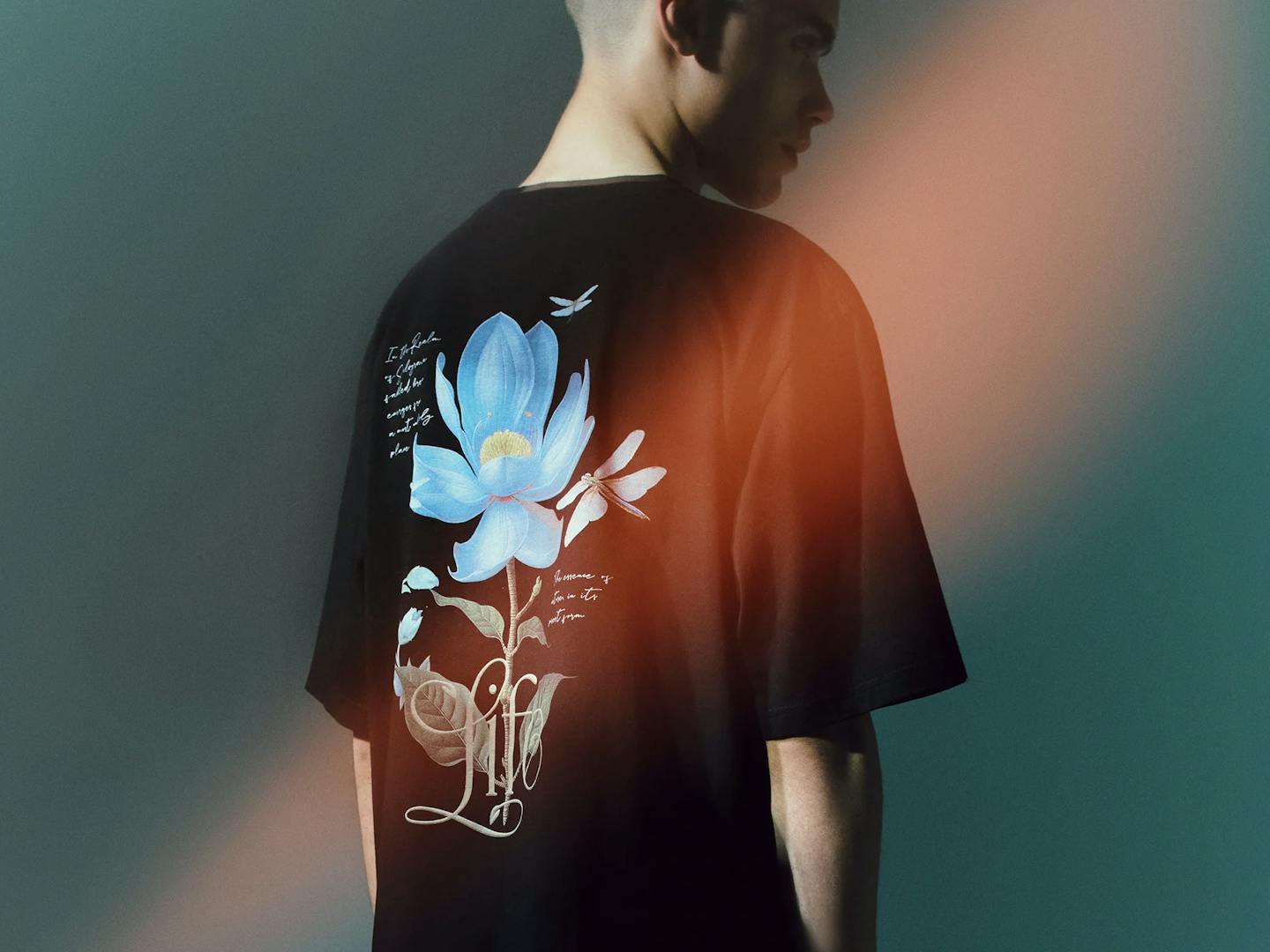 LIFE Theme Collection